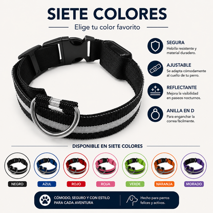 Collar LED Recargable para Perros